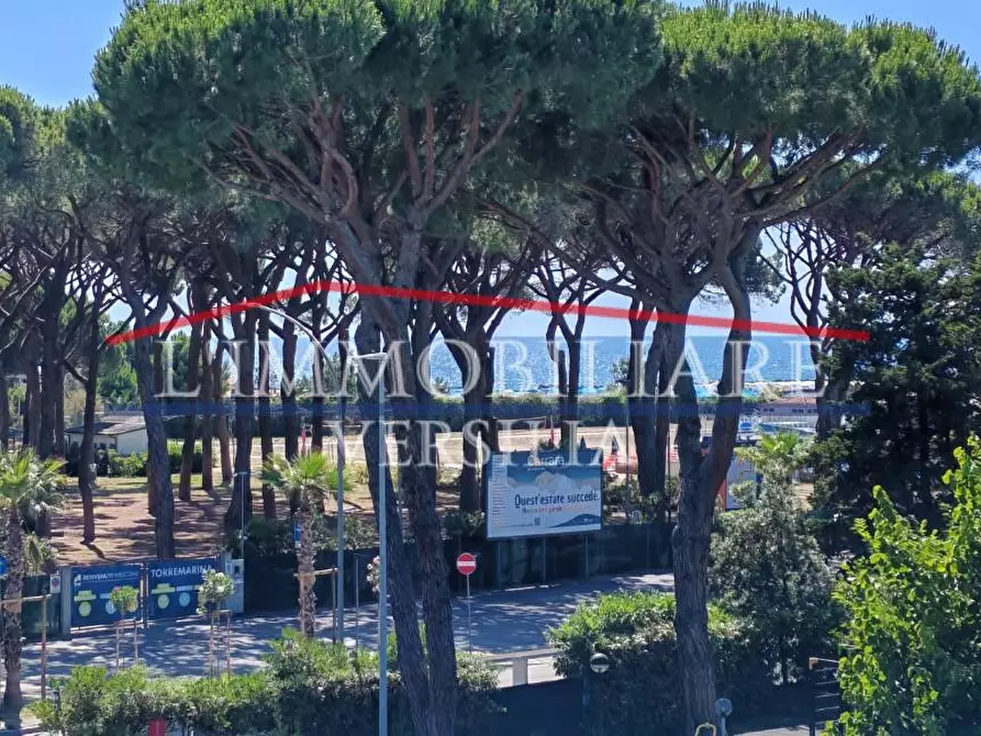 Immagine 3 di Appartamento in vendita  a Massa
