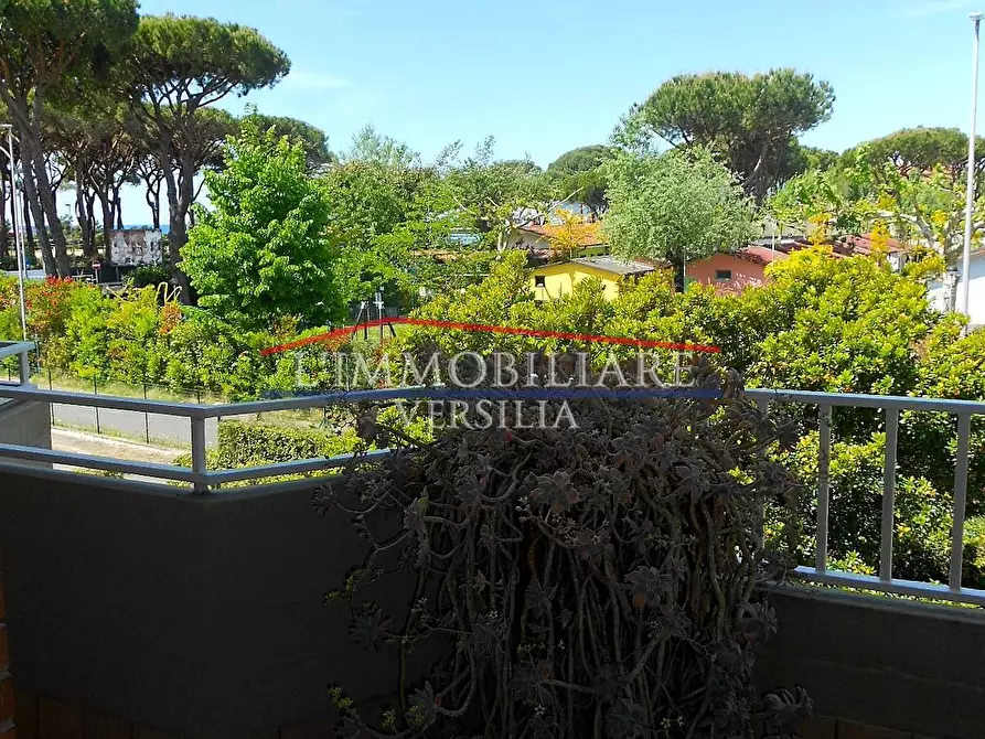 Immagine 2 di Appartamento in vendita  a Massa