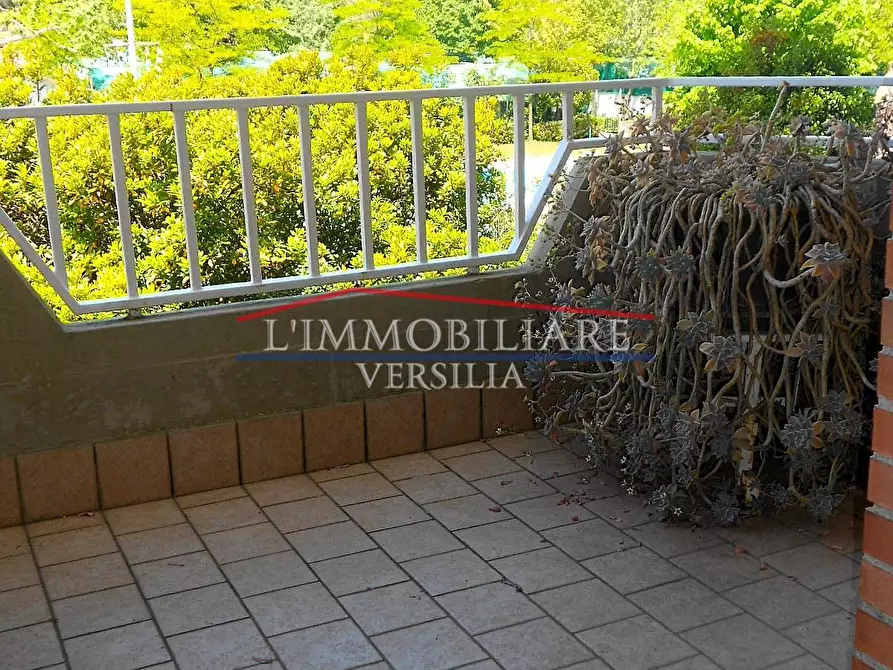 Immagine 39 di Appartamento in vendita  a Massa