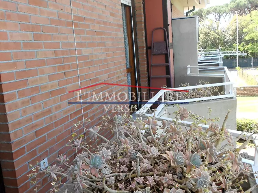 Immagine 22 di Appartamento in vendita  a Massa