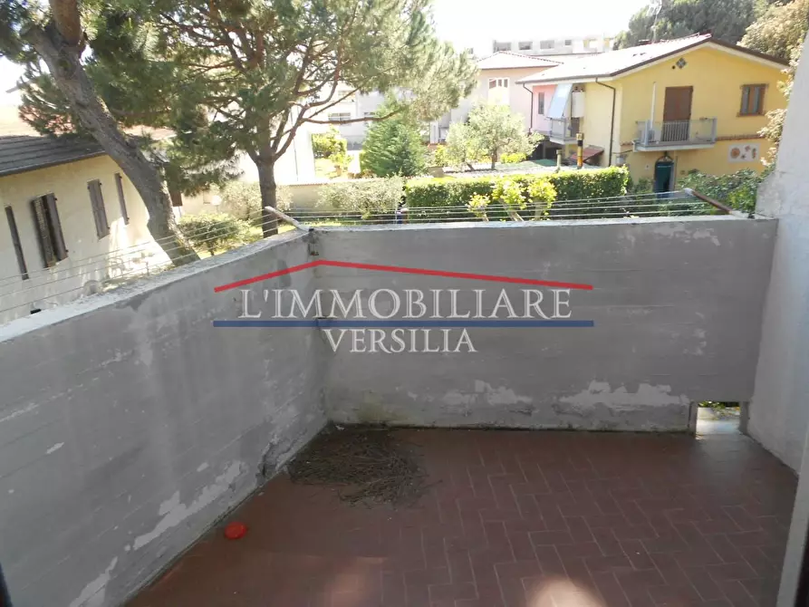 Immagine 5 di Appartamento in vendita  a Massa