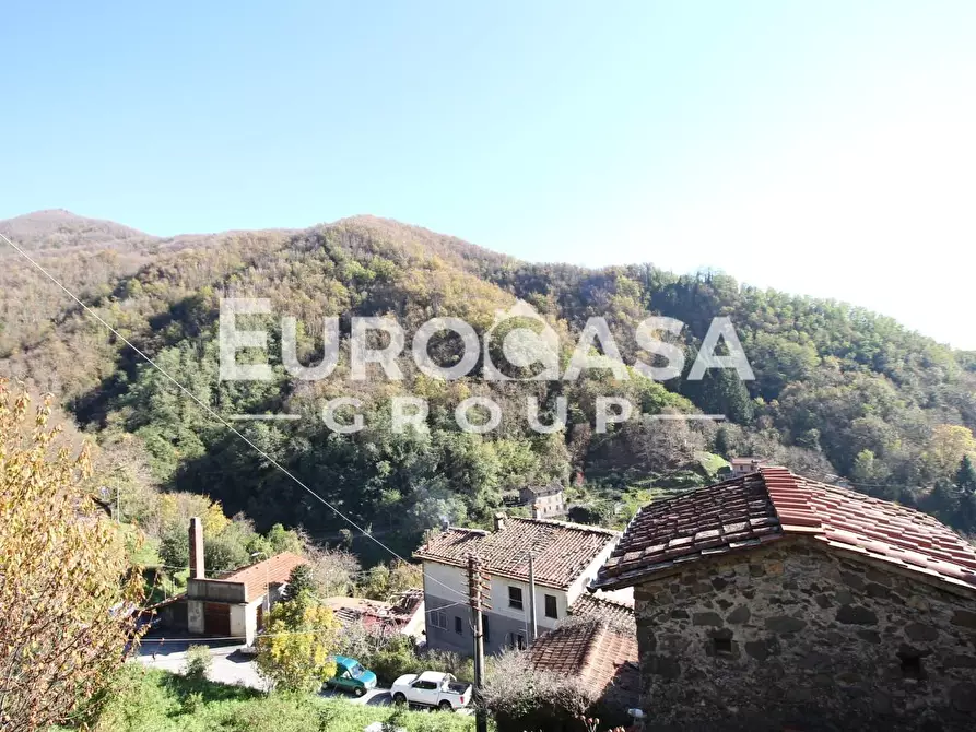 Immagine 6 di Terratetto in vendita  a Pescaglia