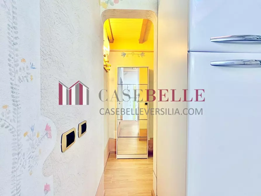 Immagine 13 di Casa semindipendente in affitto  a Forte Dei Marmi