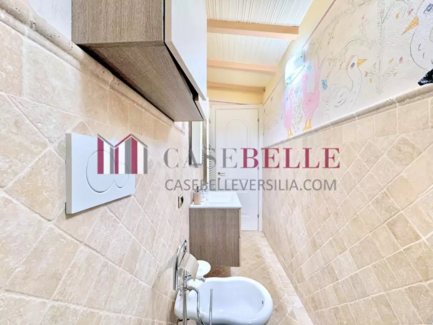 Immagine 17 di Casa semindipendente in affitto  a Forte Dei Marmi