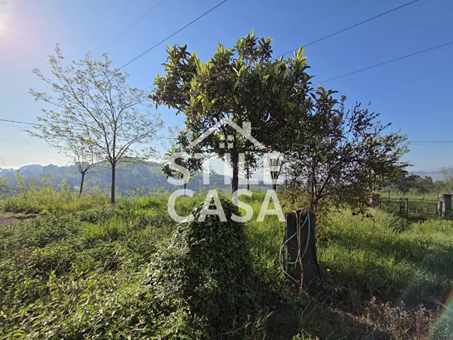 Immagine 3 di Casa indipendente in vendita  a Montecarlo