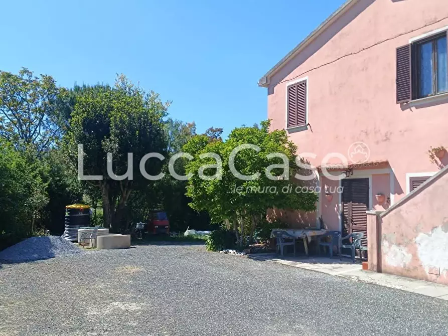 Immagine 1 di Casa colonica in vendita  a Riparbella
