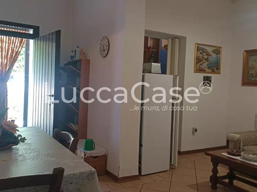 Immagine 6 di Casa colonica in vendita  a Riparbella