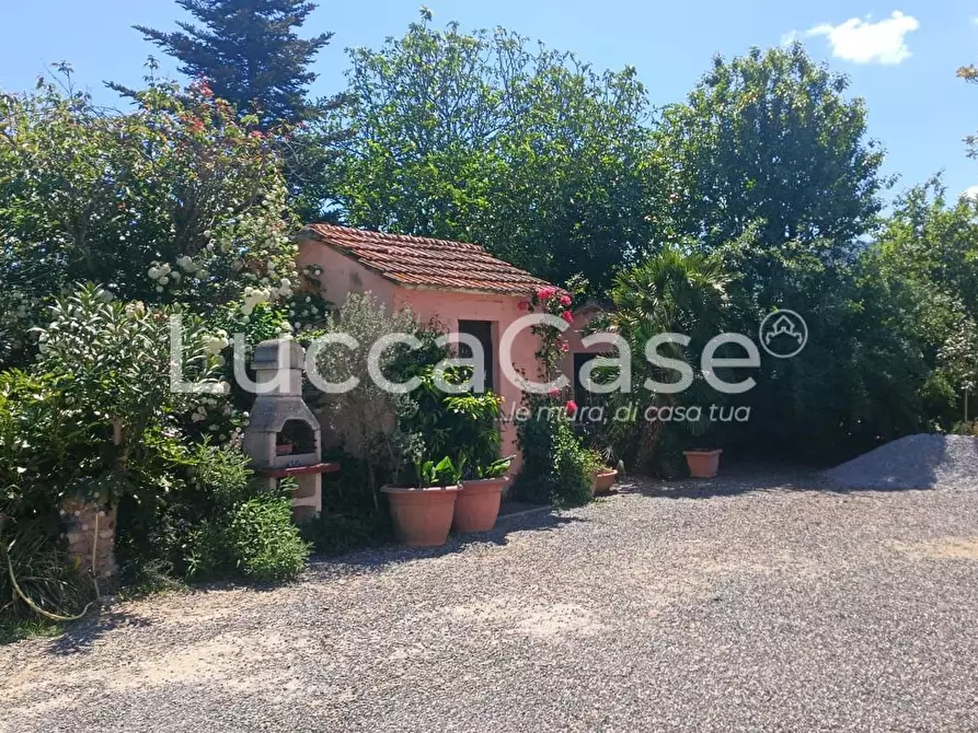 Immagine 4 di Casa colonica in vendita  a Riparbella