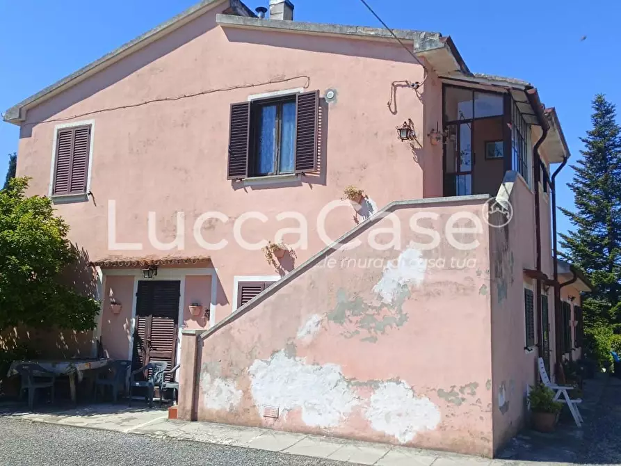 Immagine 3 di Casa colonica in vendita  a Riparbella