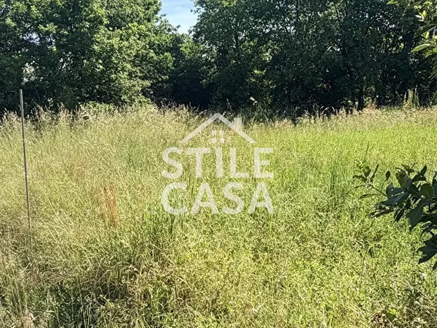 Immagine 44 di Casa indipendente in vendita  a Altopascio