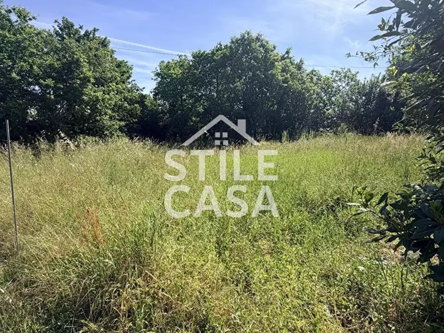 Immagine 45 di Casa indipendente in vendita  a Altopascio