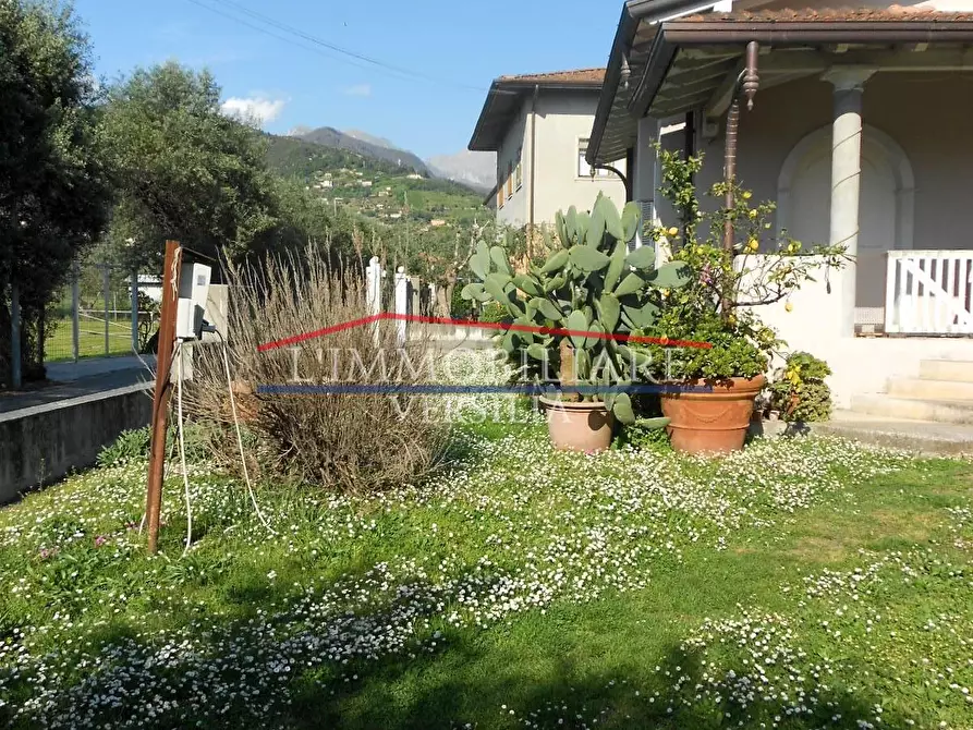 Immagine 7 di Casa bifamiliare in vendita  a Seravezza