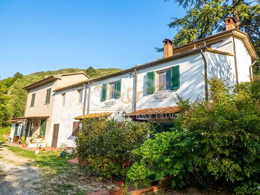 Immagine 39 di Rustico / casale in vendita  a Massarosa