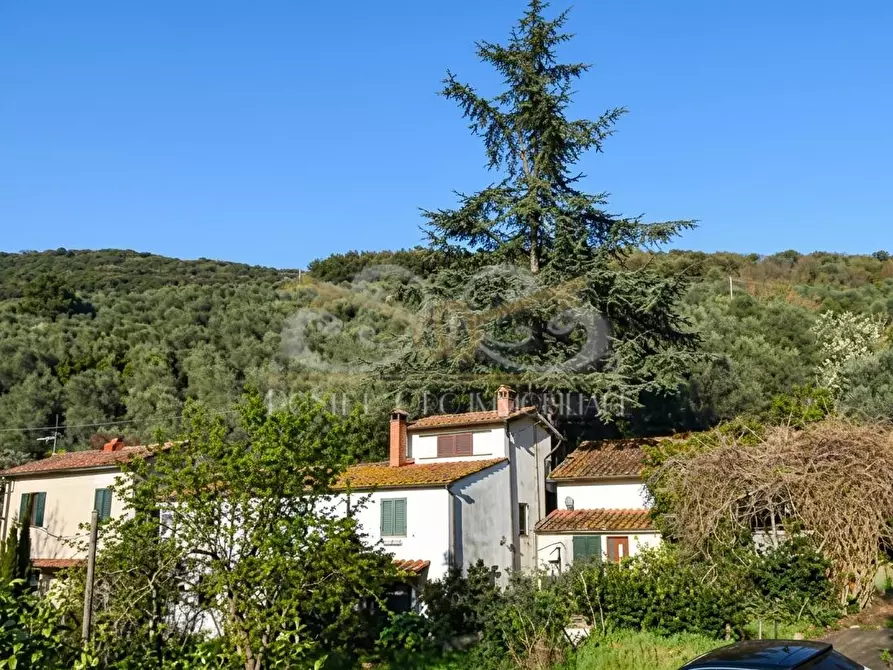 Immagine 2 di Rustico / casale in vendita  a Massarosa