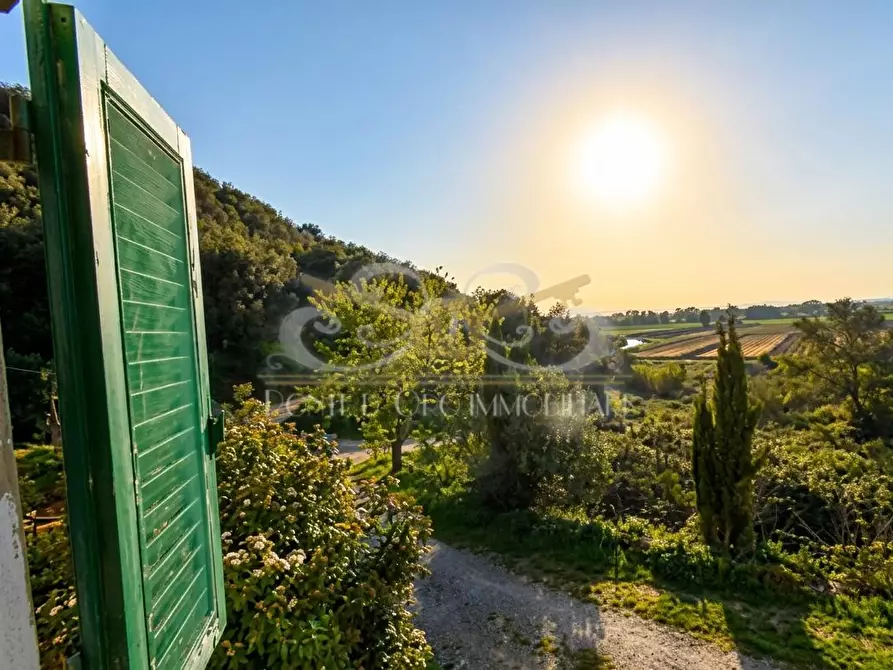 Immagine 13 di Rustico / casale in vendita  a Massarosa