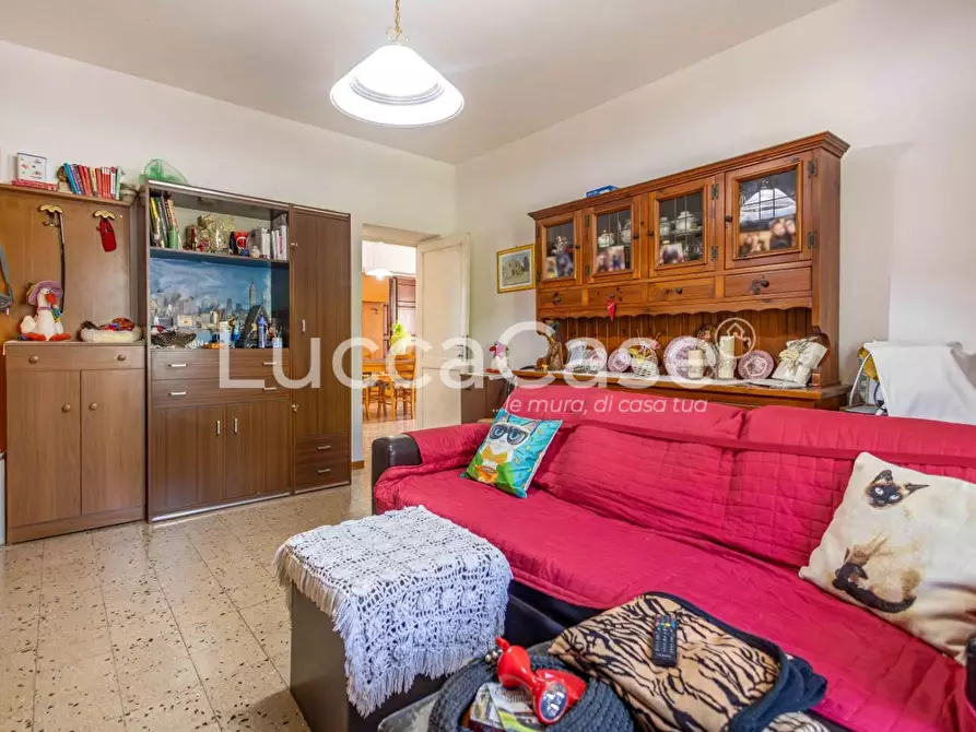 Immagine 8 di Casa colonica in vendita  a Volterra