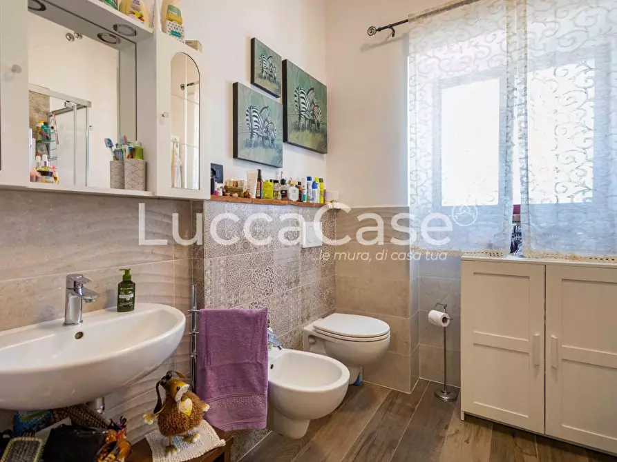 Immagine 18 di Casa colonica in vendita  a Volterra