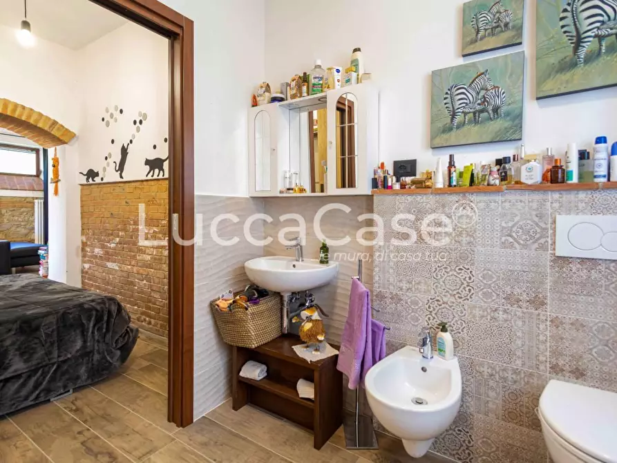 Immagine 19 di Casa colonica in vendita  a Volterra