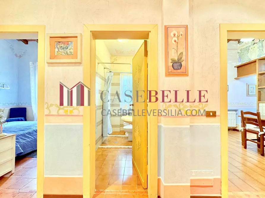 Immagine 18 di Casa indipendente in affitto  a Forte Dei Marmi