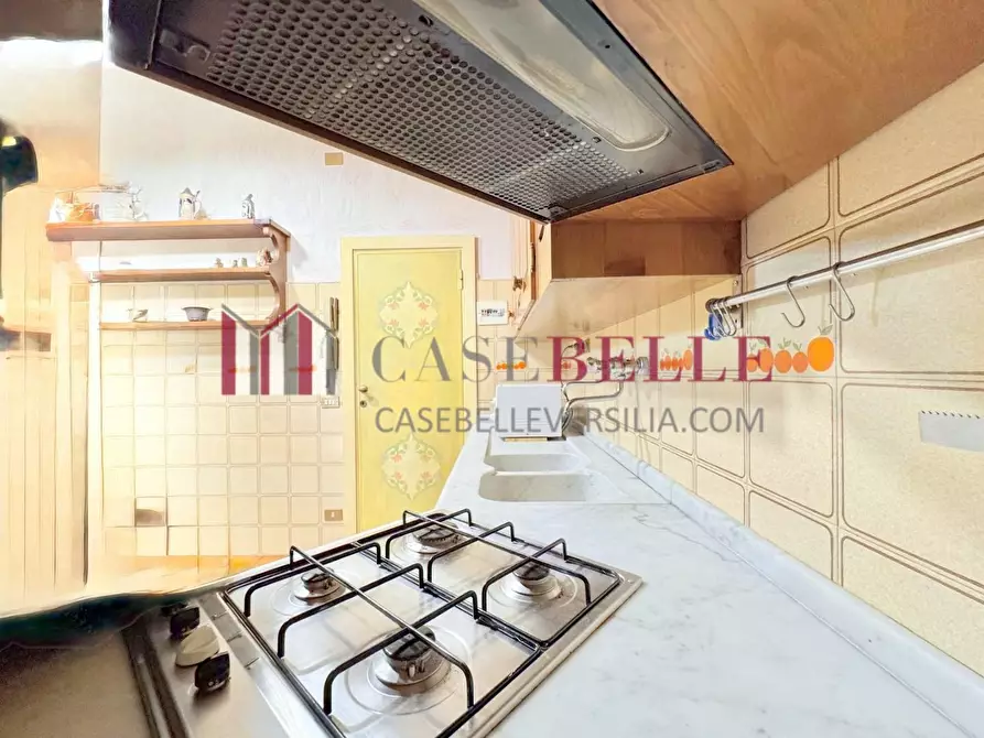 Immagine 10 di Casa indipendente in affitto  a Forte Dei Marmi