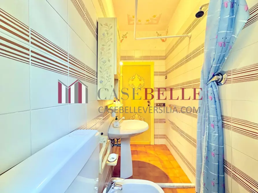 Immagine 21 di Casa indipendente in affitto  a Forte Dei Marmi