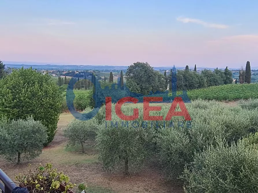 Immagine 3 di Casa colonica in vendita  a Montepulciano
