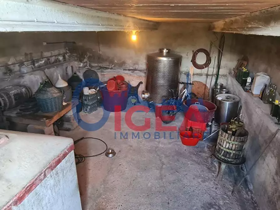 Immagine 6 di Casa colonica in vendita  a Montepulciano