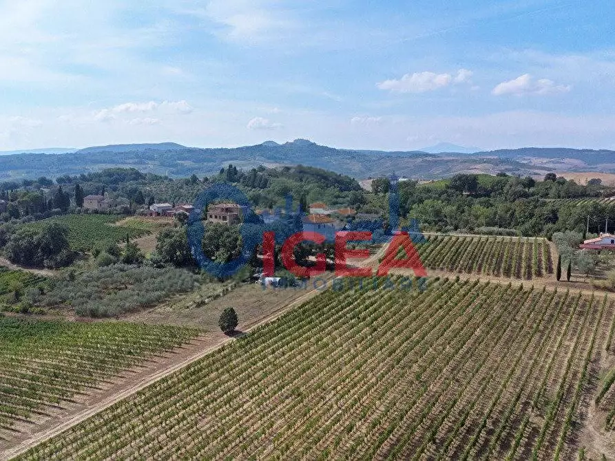 Immagine 20 di Casa colonica in vendita  a Montepulciano