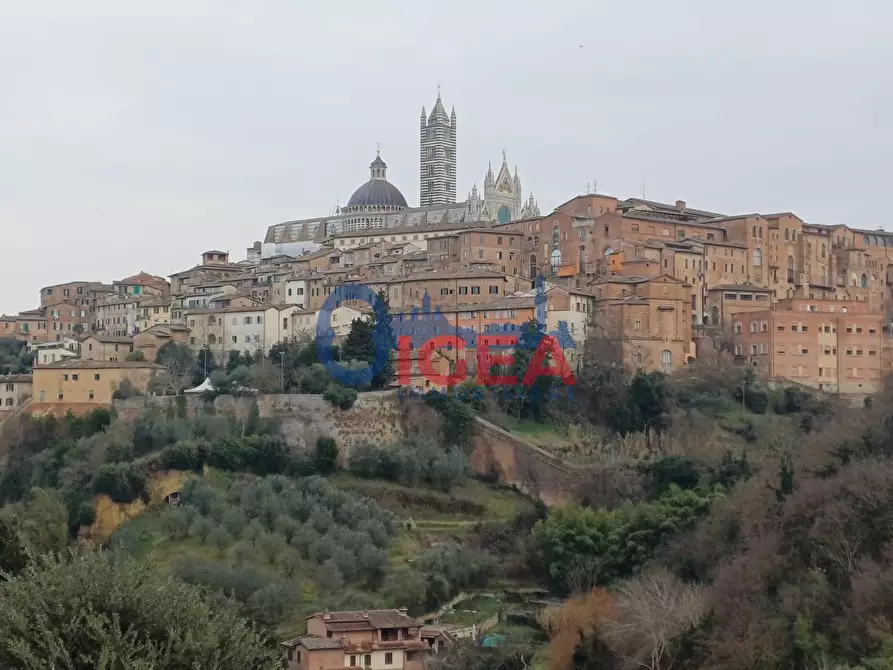 Immagine 2 di Appartamento in vendita  a Siena