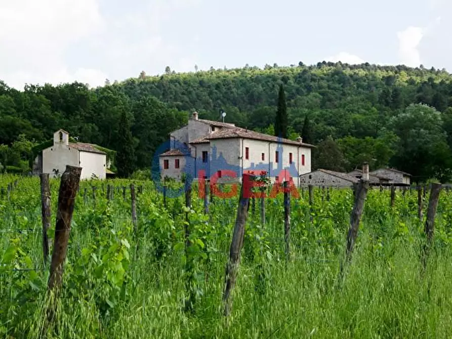 Immagine 7 di Casa colonica in vendita  a Colle Di Val D'elsa