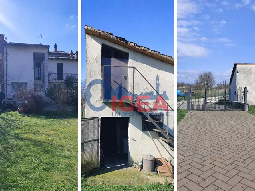 Immagine 3 di Terratetto in vendita  a Torrita Di Siena