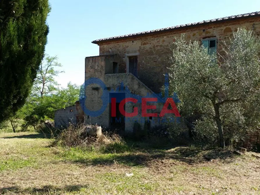 Immagine 4 di Casa colonica in vendita  a Torrita Di Siena