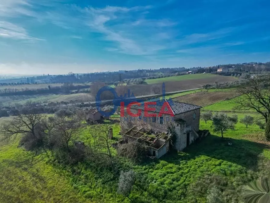 Immagine 18 di Casa colonica in vendita  a Torrita Di Siena