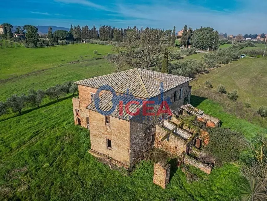 Immagine 19 di Casa colonica in vendita  a Torrita Di Siena