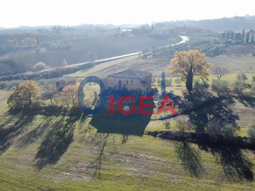 Immagine 7 di Casa colonica in vendita  a Torrita Di Siena