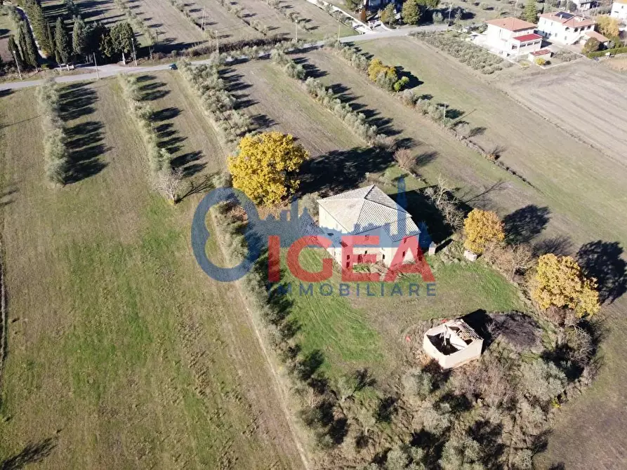 Immagine 1 di Casa colonica in vendita  a Torrita Di Siena