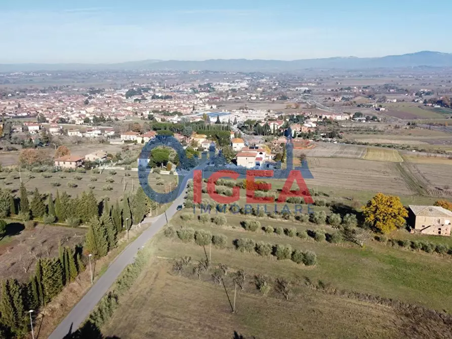 Immagine 10 di Casa colonica in vendita  a Torrita Di Siena