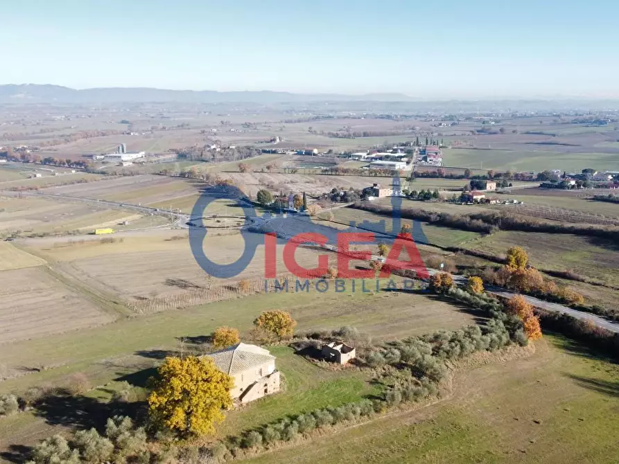 Immagine 24 di Casa colonica in vendita  a Torrita Di Siena