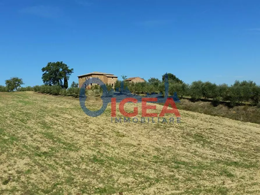 Immagine 9 di Casa colonica in vendita  a Torrita Di Siena