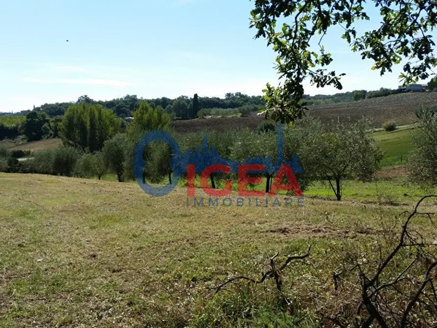 Immagine 11 di Casa colonica in vendita  a Torrita Di Siena