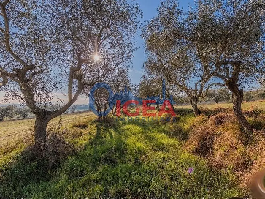 Immagine 20 di Casa colonica in vendita  a Torrita Di Siena