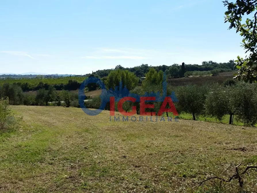 Immagine 12 di Casa colonica in vendita  a Torrita Di Siena