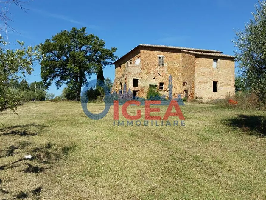 Immagine 15 di Casa colonica in vendita  a Torrita Di Siena
