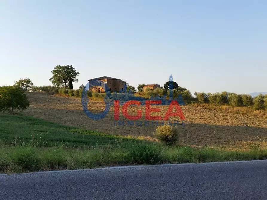 Immagine 16 di Casa colonica in vendita  a Torrita Di Siena