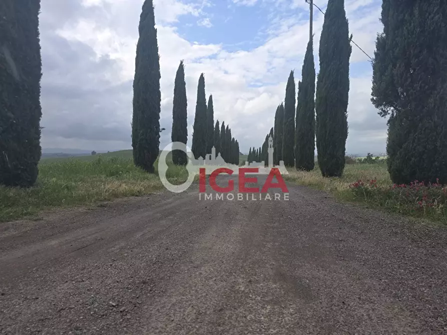 Immagine 29 di Appartamento in vendita  a Monteroni D'arbia