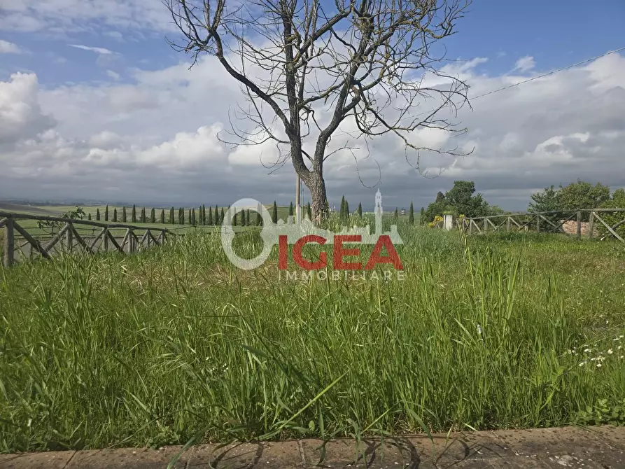 Immagine 2 di Appartamento in vendita  a Monteroni D'arbia