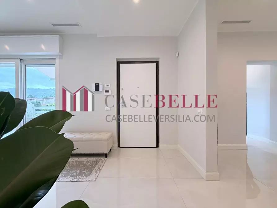 Immagine 42 di Appartamento in vendita  a Camaiore