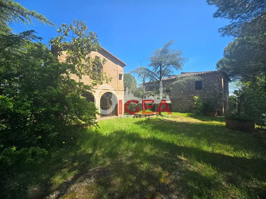 Immagine 2 di Casa indipendente in vendita  a Chiusdino