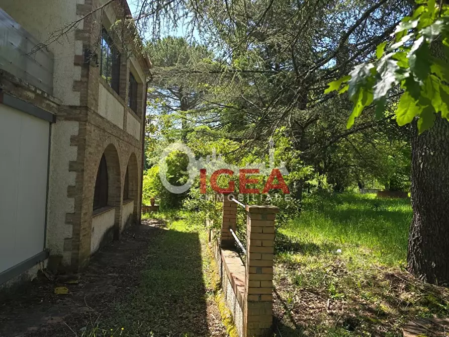 Immagine 15 di Casa indipendente in vendita  a Chiusdino
