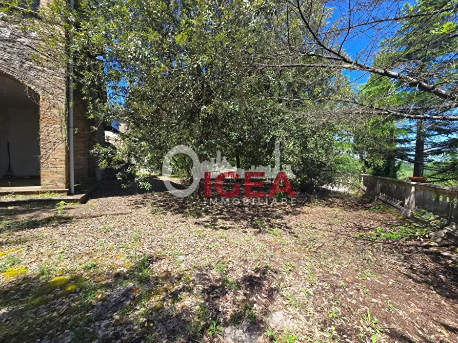Immagine 6 di Casa indipendente in vendita  a Chiusdino
